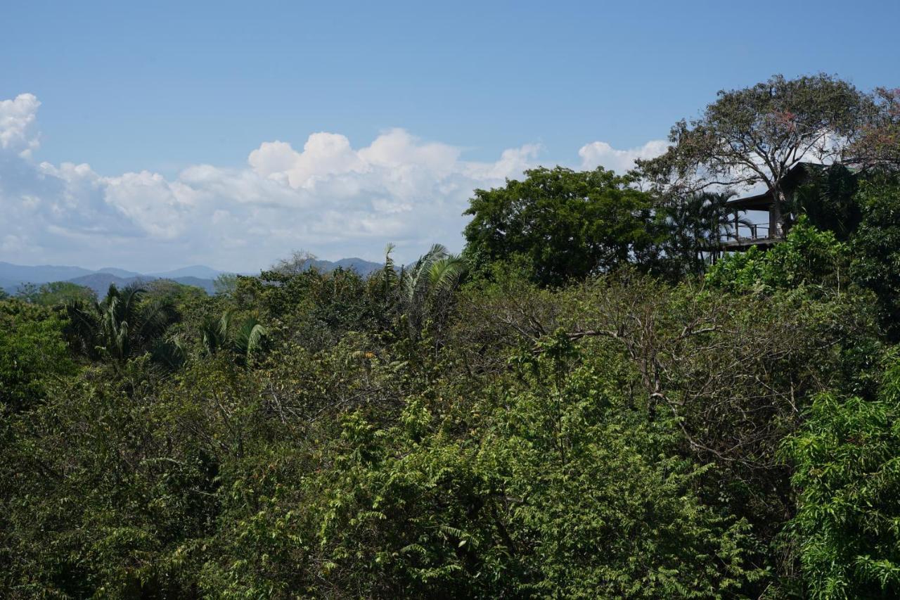 Calamocha Lodge Playa Santa Teresa  ภายนอก รูปภาพ